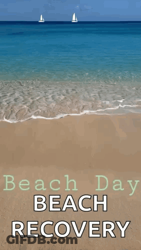 Beach Day Sailboats Poster GIF