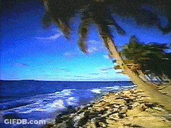 Beach Painting With Palm Trees And Ocean GIF