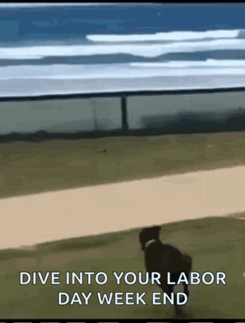 Beach Sand GIF
