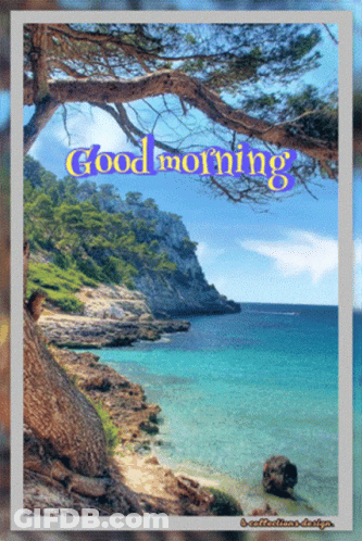 Beach Saying Good Morning GIF
