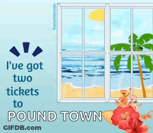 Beach Saying I've Got Two Tickets To Pound Town GIF