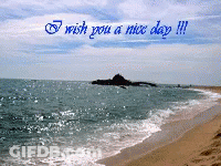 Beach Saying Wish You A Nice Day GIF