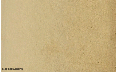 Beach Scene Saying Have A Nice Day In Sand GIF