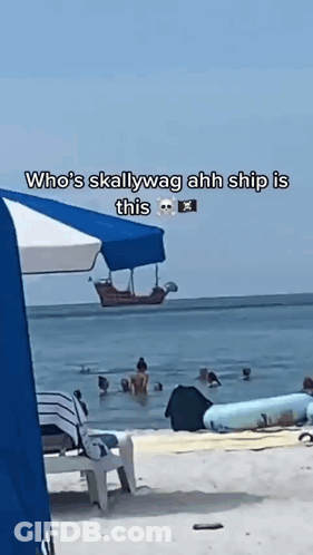 Beach Scene Who's Skallywag Ahh Ship Is This X GIF
