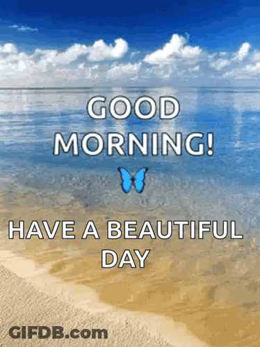 Beach Scene With Butterfly And Good Morning GIF