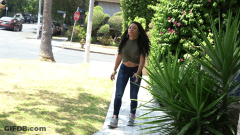 Beach Scene With Butterfly Good Morning GIF