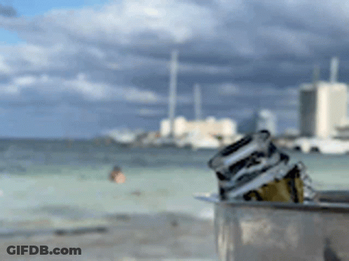 Beach Scene With Soda Can GIF