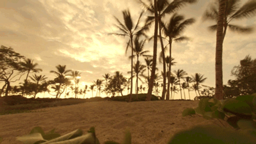 Beach Sunrise Timelapse GIF