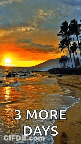 Beach Sunset With 3 More Days GIF