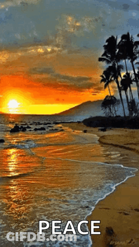 Beach Sunset With Peace GIF