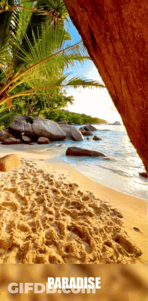 Beach Vacation GIF