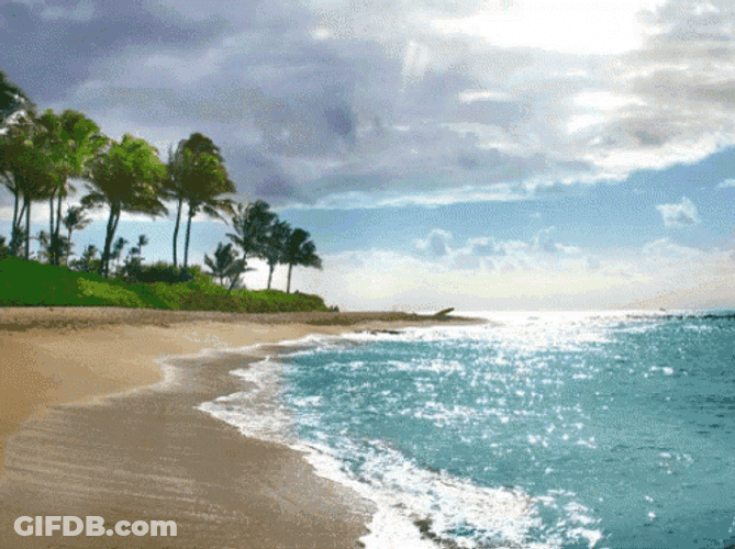 Beach Water GIF