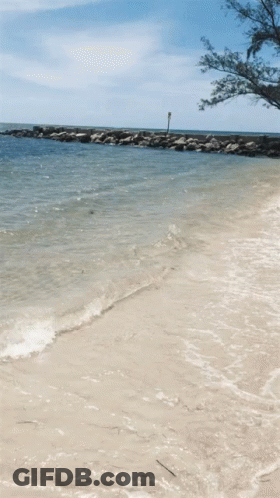 Beach Waves Crashing Lighthouse GIF
