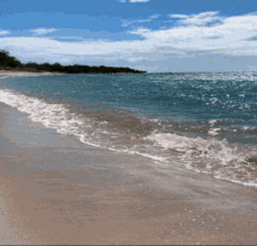 Beach Waves View GIF
