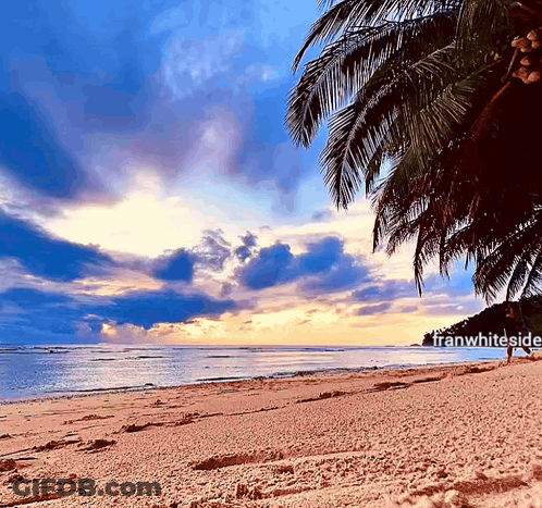 Beach With Franwhiteside GIF