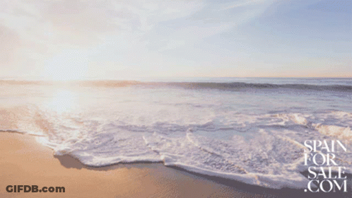 Beach With Good Morning GIF