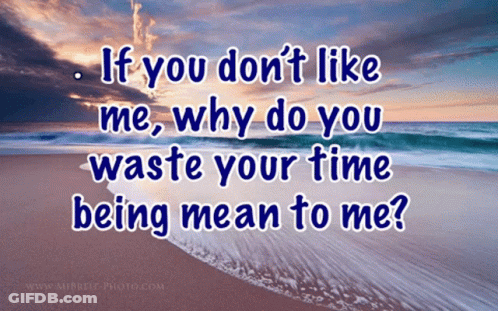 Beach With If You Don't Like Me Why Do You Waste Your Time Being Mean To Me GIF