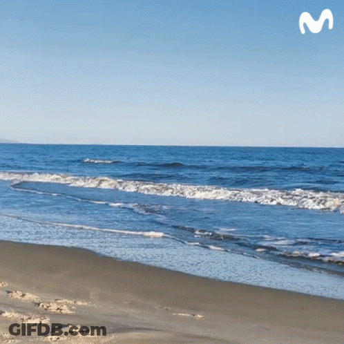 Beach With Letter M GIF