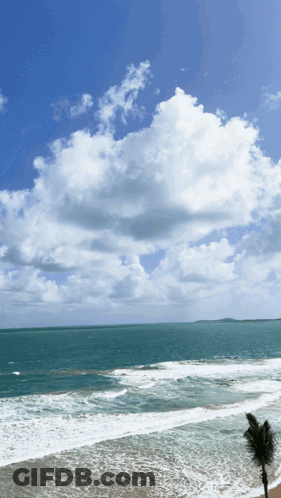 Beach With Palm Tree And Blue Sky White Clouds GIF