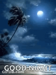 Beach With Palm Tree Saying Good Night GIF