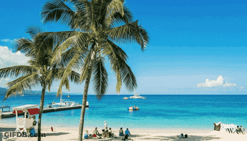 Beach With Palm Trees And Lifeguard Tower GIF
