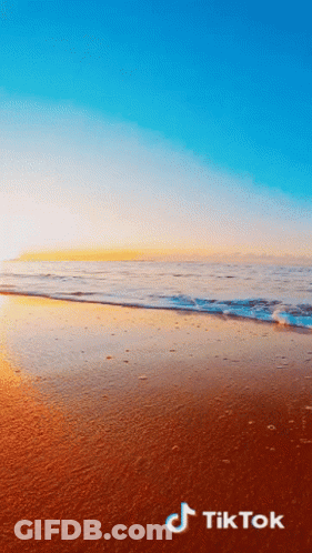 Beach With TikTok Logo GIF