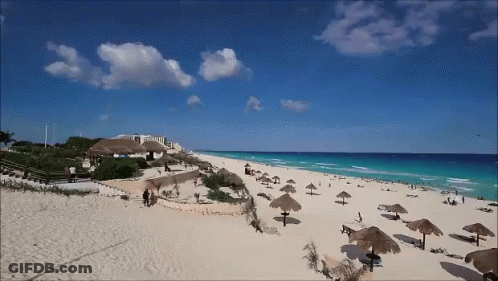 Beach With Umbrellas And Chairs GIF