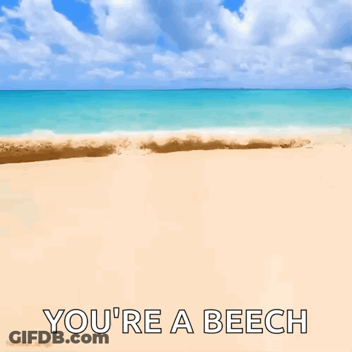 Beach With Youre A Beech GIF