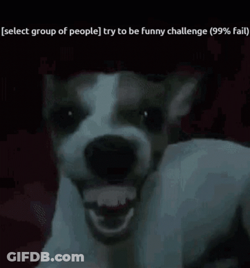Beagle Dog Laughing GIF
