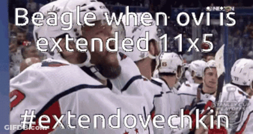 Beagle Ovi Extended 1X5 Extendovechkin GIF