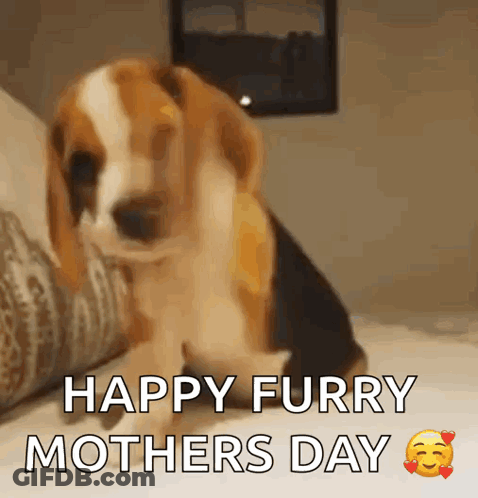 Beagle Puppy Saying Happy Furry Mother's Day GIF