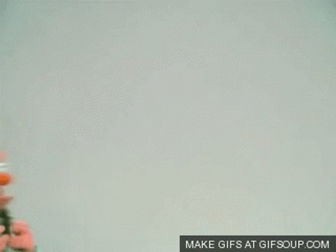 Beaker Fuming Ears GIF