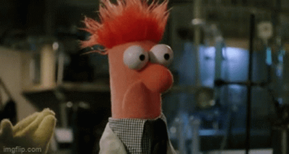 Beakers Looks Confused GIF