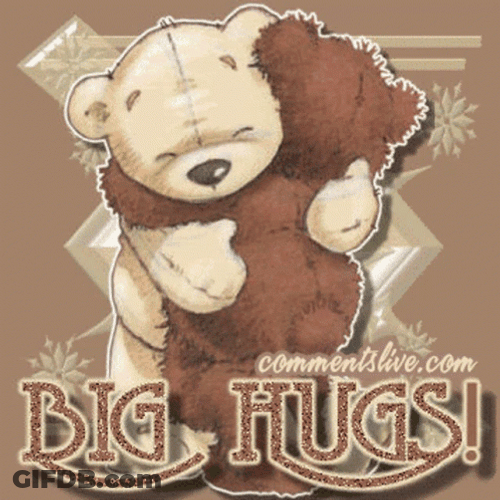 Bear And Pooh Big Hugs GIF