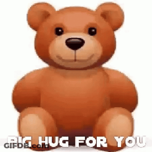 Bear Big Hug For You Meme GIF