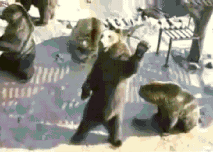 Bear Blowing A Kiss GIF