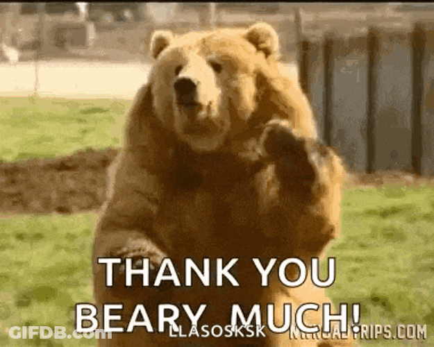 Bear Byebear GIF