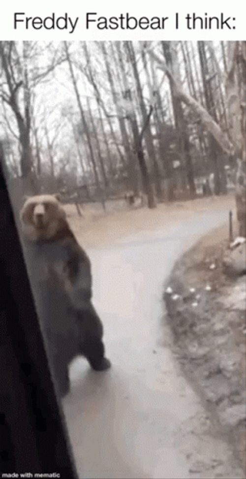 Bear Cat Freddy Fazbear Meme GIF