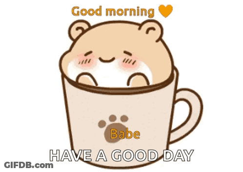 Bear Cup Good Morning Babe Have A Good Day GIF