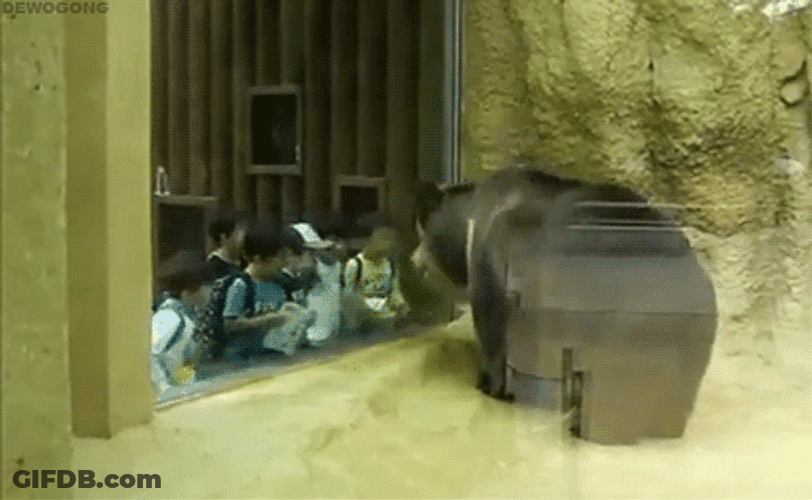 Bear Dance With Kid Gang GIF