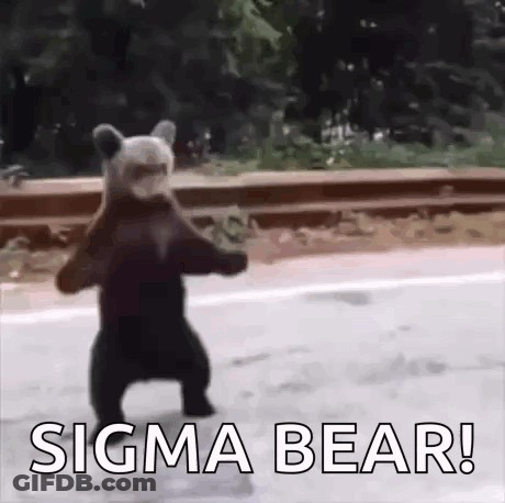 Bear Dancing By Road GIF