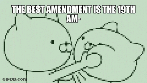Bear Drawing With 19Th Amendment Quote GIF