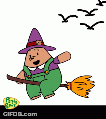 Bear Flying On Broom Saying Pants Bear GIF