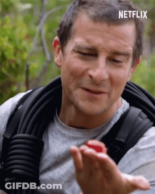 Bear Grylls Yummy Berry GIF