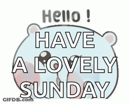 Bear Hello! Have A Lovely Sunday GIF