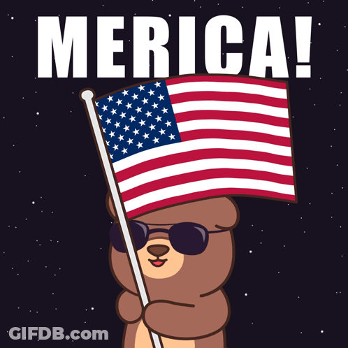 Bear Holding American Flag Merica GIF
