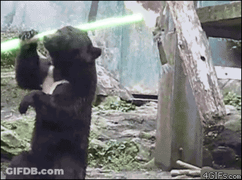 Bear Holding Green Light Saber GIF