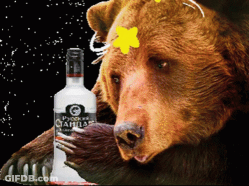 Bear Holding Russian Vodka Bottle GIF