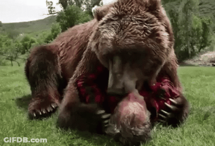 Bear Hug Kiss Man Down GIF