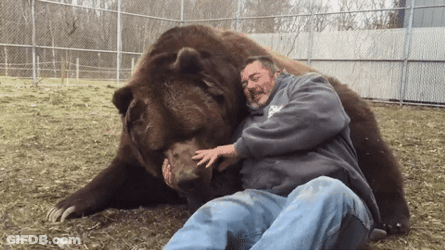 Bear Hug Man Friendship GIF